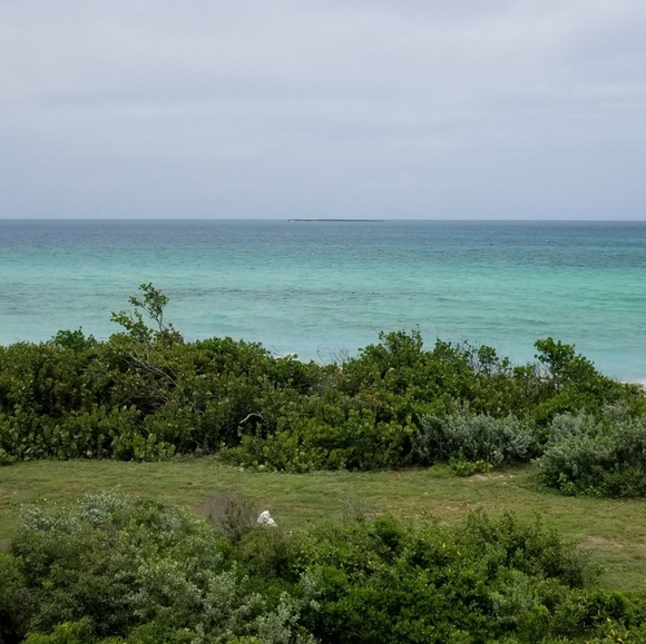 Meet your Posher, Cali - Picture 1 of 1